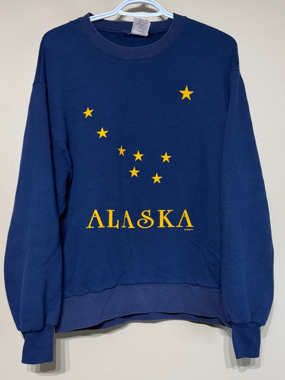Vintage 80’s Alaska Beaver Creek Single Stitch Raglan Sleeve Crewneck